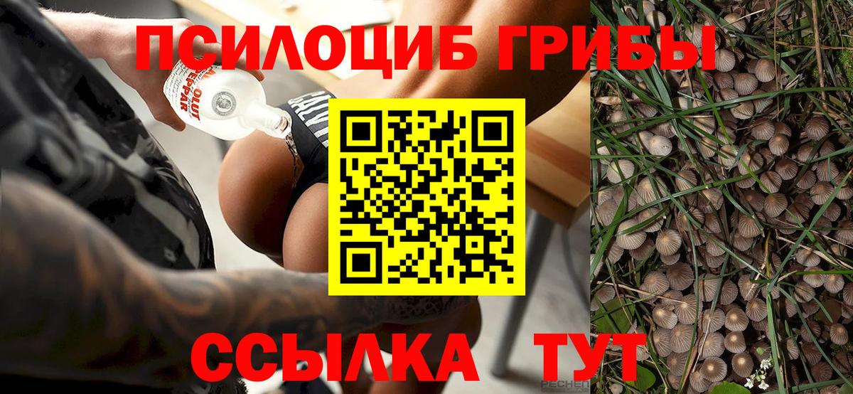 Псилоцибиновые грибы прущие грибы Можга